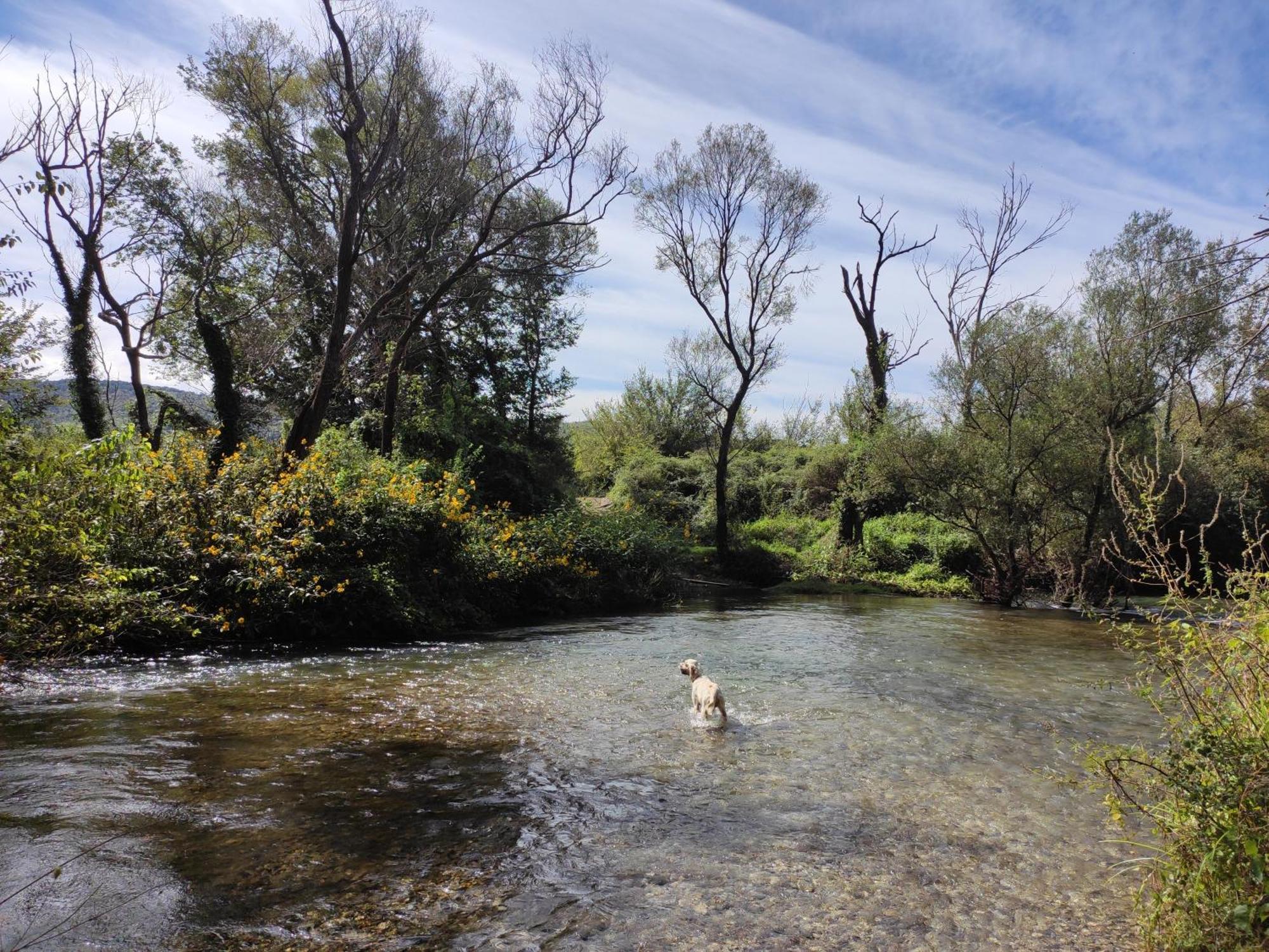 Country House Uros In Nature With Pool Lovorno Kültér fotó